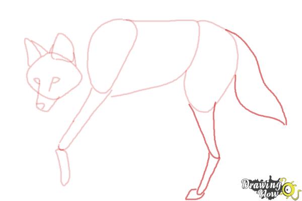 How to Draw a Wolf - Maned Wolf - Step 6