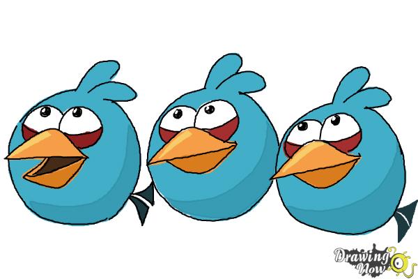 How to Draw Angry Birds The Blues, Blue Birds - Step 11