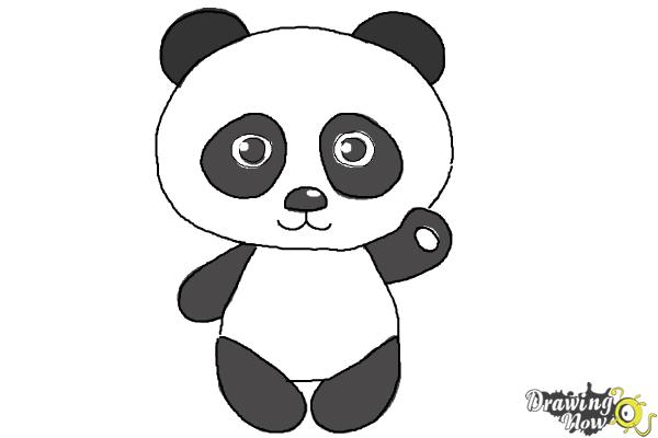 How to Draw a Panda Step by Step - DrawingNow