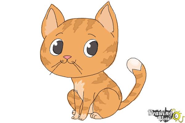How to Draw a Cat Step by Step - DrawingNow