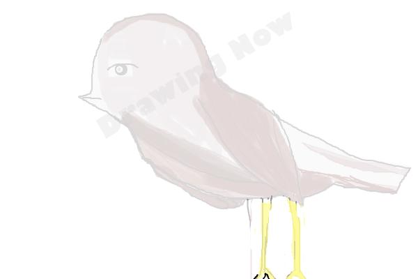 bird ( bad attempt)sparrow - Step 17 bird ( bad attempt)sparrow - Step 17