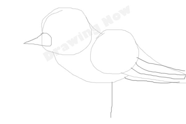 bird ( bad attempt)sparrow - Step 4 bird ( bad attempt)sparrow - Step 4