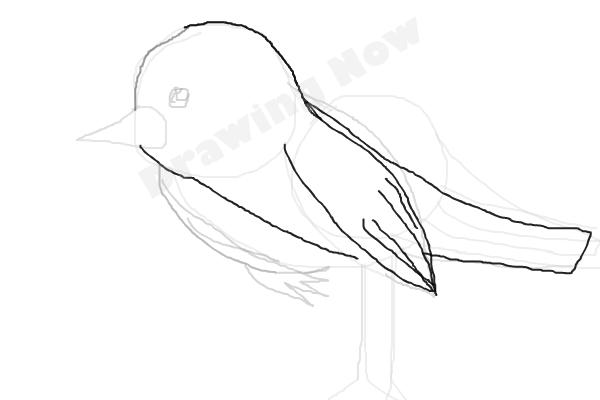 bird ( bad attempt)sparrow - Step 8 bird ( bad attempt)sparrow - Step 8
