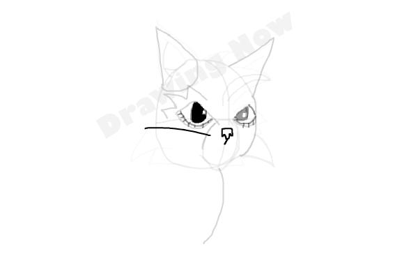 How To Draw Graystripe From Warrior Cats - Step 12