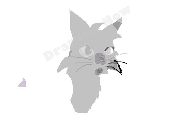 How To Draw Graystripe From Warrior Cats - Step 17