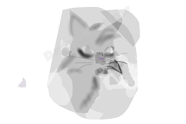 How To Draw Graystripe From Warrior Cats - Step 19 How To Draw Graystripe From Warrior Cats - Step 19