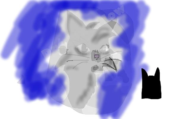 How To Draw Graystripe From Warrior Cats - Step 21