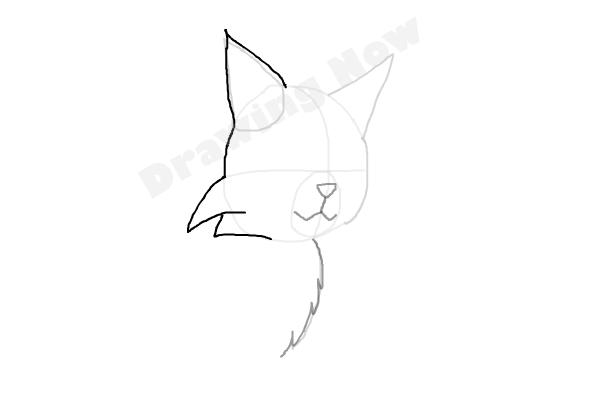How To Draw Graystripe From Warrior Cats - Step 4 How To Draw Graystripe From Warrior Cats - Step 4