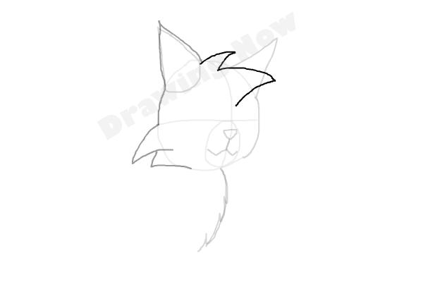 How To Draw Graystripe From Warrior Cats - Step 5