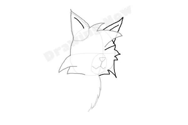 How To Draw Graystripe From Warrior Cats - Step 6