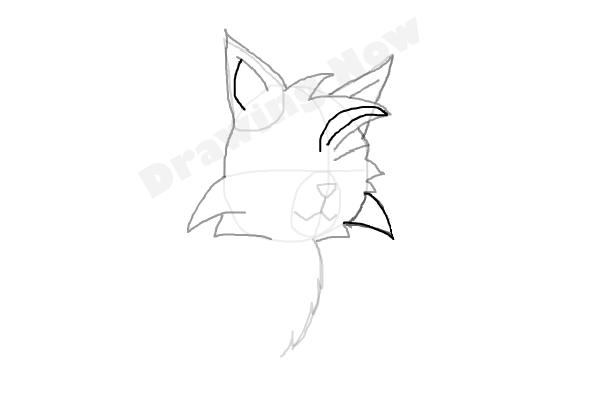 How To Draw Graystripe From Warrior Cats - Step 7