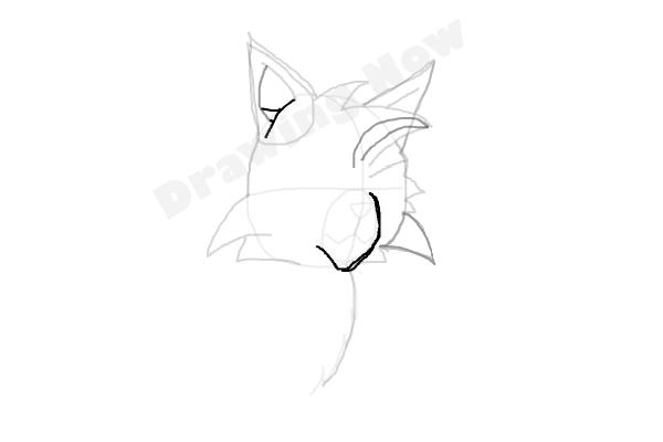 How To Draw Graystripe From Warrior Cats - Step 8