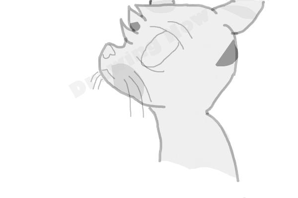 How To Draw Jayfeather From Warriors - Step 10