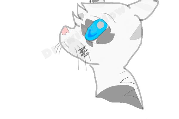 How To Draw Jayfeather From Warriors - Step 11
