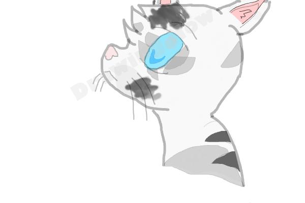 How To Draw Jayfeather From Warriors - Step 12