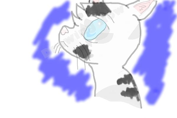 How To Draw Jayfeather From Warriors - Step 13