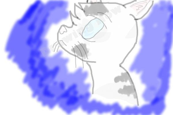 How To Draw Jayfeather From Warriors - Step 14