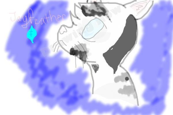 How To Draw Jayfeather From Warriors - Step 15