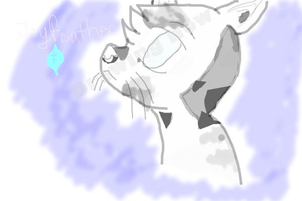 How To Draw Jayfeather From Warriors - Step 16 How To Draw Jayfeather From Warriors - Step 16
