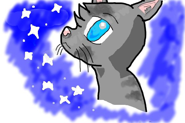 How to Draw Bluestar from Warrior Cats - DrawingNow