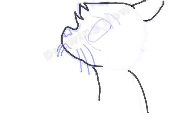 How To Draw Jayfeather From Warriors - Step 5