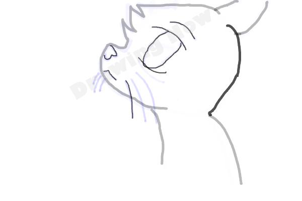 How To Draw Jayfeather From Warriors - Step 6
