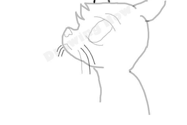 How To Draw Jayfeather From Warriors - Step 7