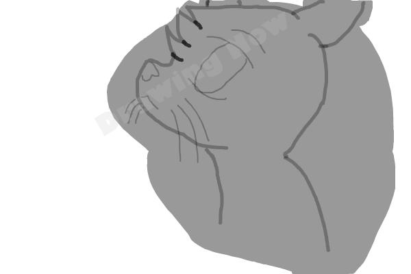 How To Draw Jayfeather From Warriors - Step 8