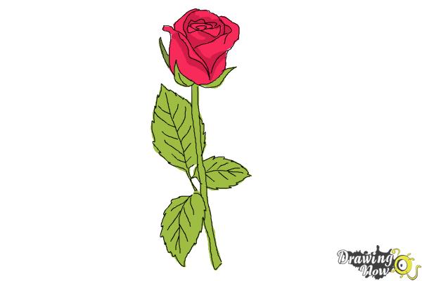 How to Draw a Rose Step by Step for Beginners - Step 10