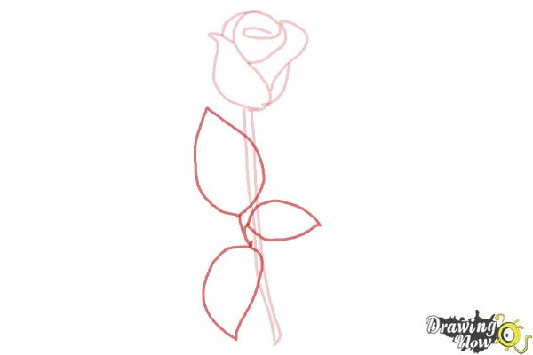 How to Draw a Rose Step by Step for Beginners - Step 5