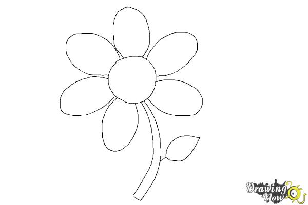 How to Draw a Flower Easy - Step 6 How to Draw a Flower Easy - Step 6