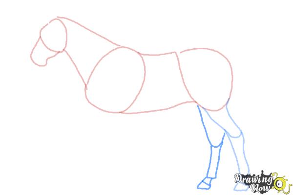 How to Draw a Realistic Horse - Step 5