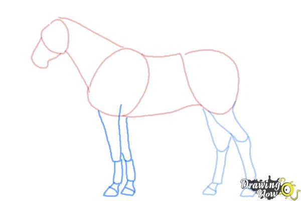 How to Draw a Realistic Horse - Step 6 How to Draw a Realistic Horse - Step 6