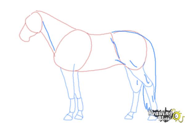 How to Draw a Realistic Horse - Step 7