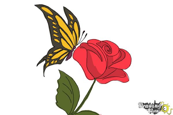 Featured image of post How To Draw A Butterfly On A Flower : Add two symmetrical top wings.