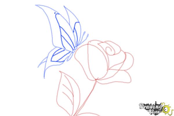 How to Draw a Butterfly On a Flower - DrawingNow