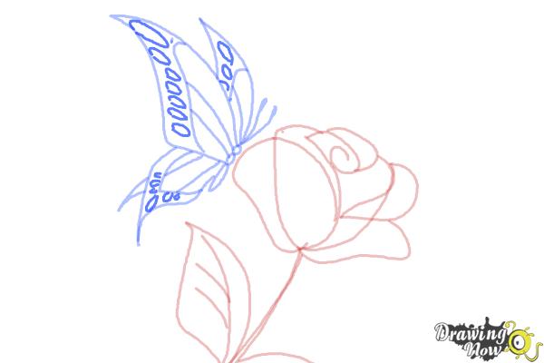 How to Draw a Butterfly On a Flower - Step 9