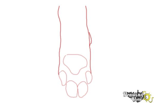 How to Draw a Dog Paw - DrawingNow