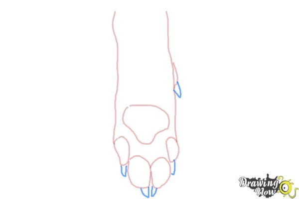 How to Draw a Dog Paw - Step 5