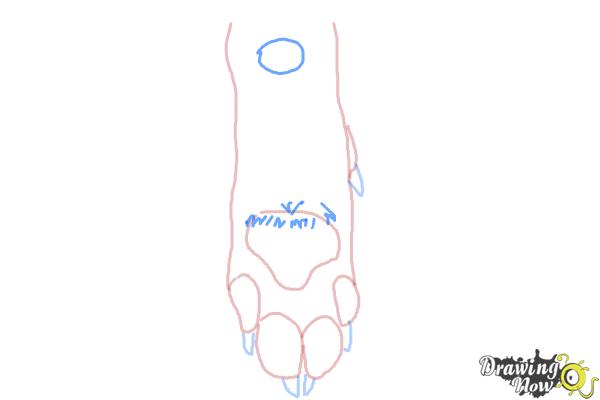 How to Draw a Dog Paw - DrawingNow