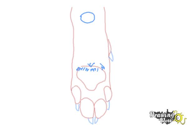 How to Draw a Dog Paw - Step 6 How to Draw a Dog Paw - Step 6