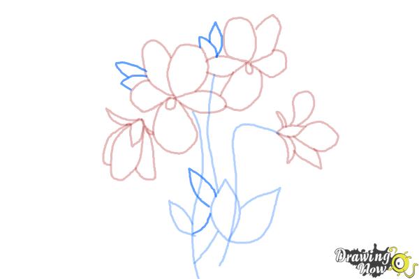 How to Draw Simple Flowers - Step 10