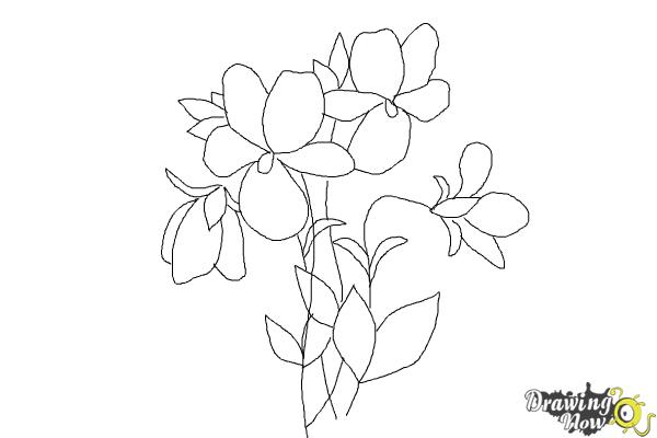 step by step drawing roses easy to DrawingNow Simple How Draw Flowers