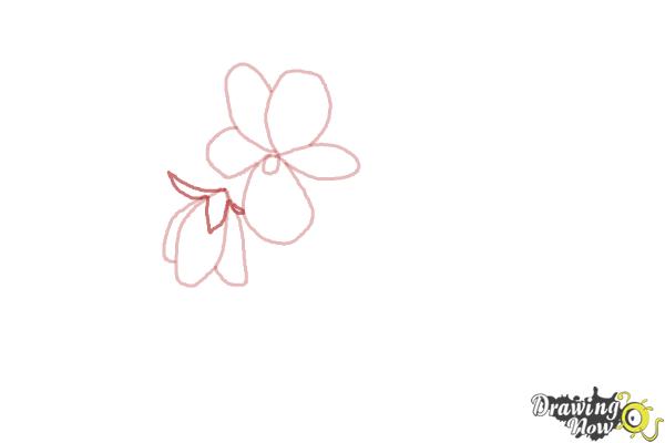 How to Draw Simple Flowers - Step 4 How to Draw Simple Flowers - Step 4