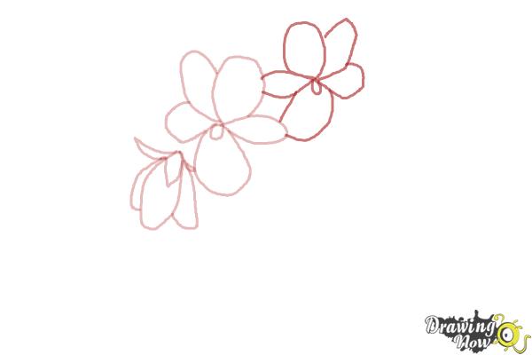 How to Draw Simple Flowers - Step 5