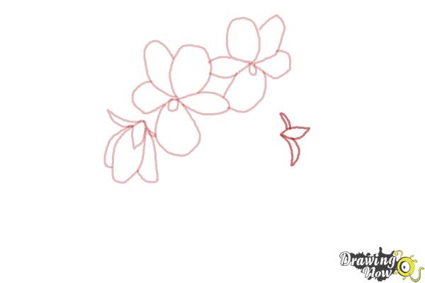 How to Draw Simple Flowers - Step 6