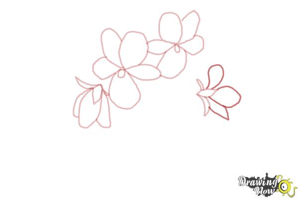 How to Draw Simple Flowers - Step 7