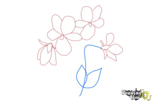 How to Draw Simple Flowers - Step 8