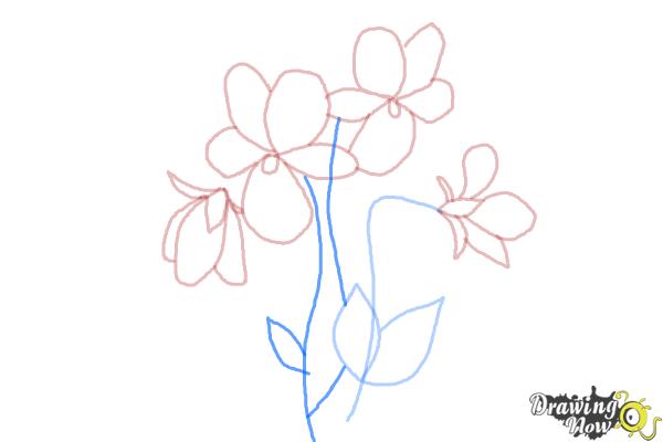 How to Draw Simple Flowers - Step 9