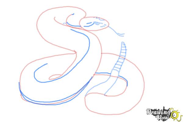 How to Draw a Realistic Snake - Step 7